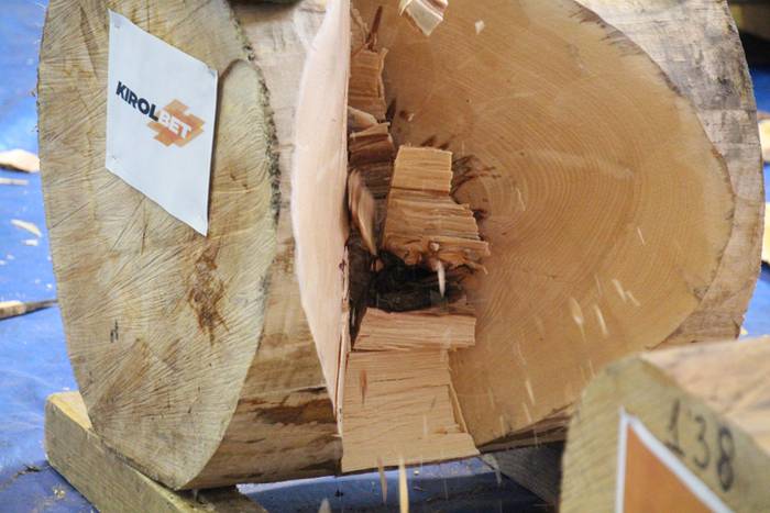 Urrezko aizkora kanporaketa abaltzisketa 26 1461501193874