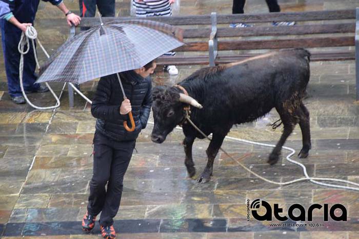 Inauteriak 2018, sokamuturra 48 1518438077924