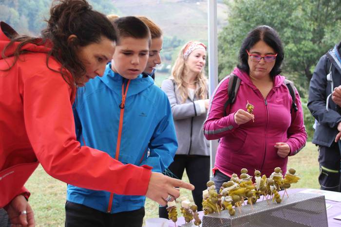 Ibarrako piparraren ibilbide 67 1664026269582