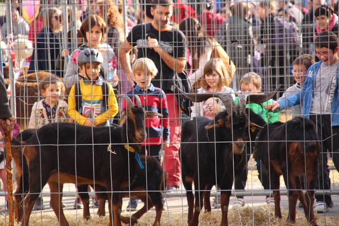 Tolosa Gabonetako Azoka berezia 2015 70 1450532640299