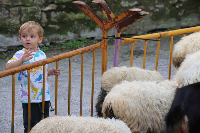 Inoiz baino bereziagoa 10 1568556708849