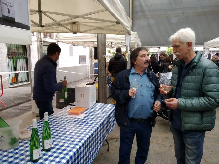 Villabonan ardo azoka 2019 18 1558802158975