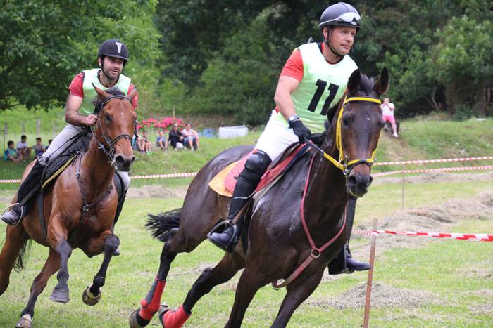 Zaldien gainean lehian 12 1497207169576