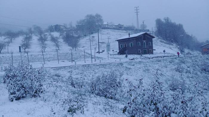 Argazki galeria: Tolosaldea, 4 1519809662060