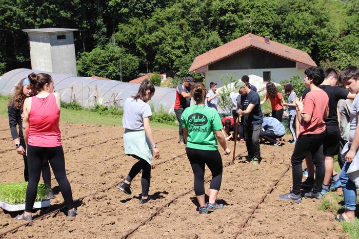 Erein dituzte lehen piperrak 6 1559303458498