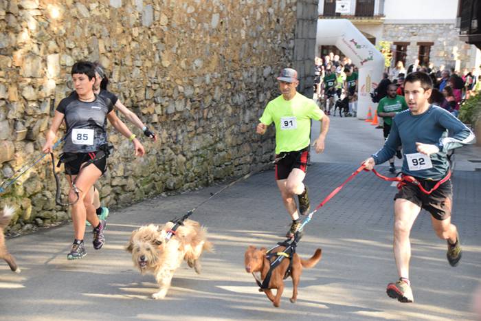 III. Txakur Krosa, Zizurkil 8 1523728638982