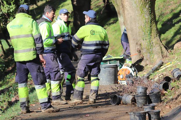 Tolosako ikasleek zuhaitzak  37 1520435657816