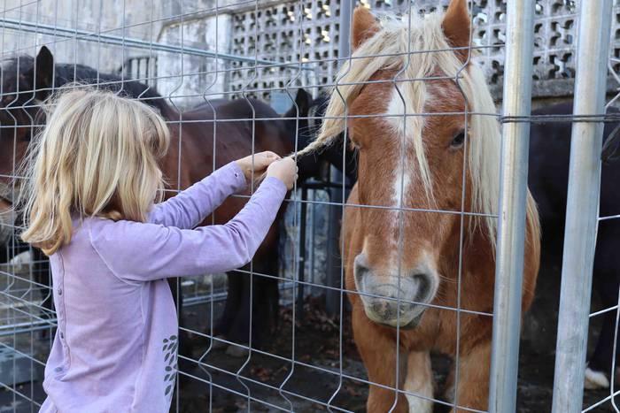 Zer ikusi izan da Bedaion 26 1668343708482