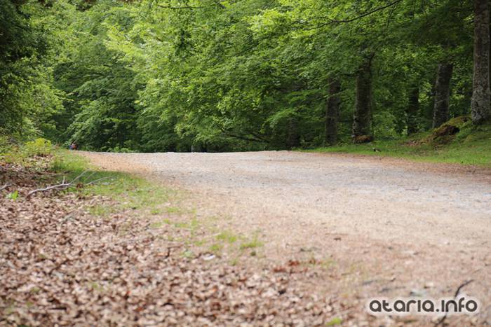 XIV Orduak Lekunberri-SanMigel-Guardetxe 76 1464533114795