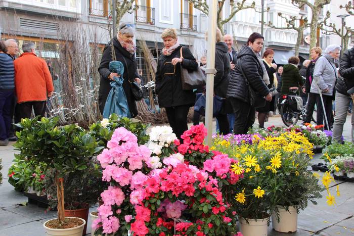 Tolosako Lore eta Landare Az 17 1549717200194