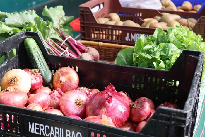 Postuz bete da Alegiako fron 18 1664109247324