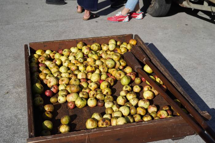 Sagar uzta festa jendetsua 10 1760790630961