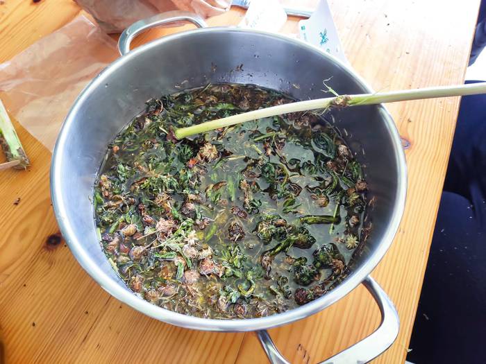 Sendabelar ikastaroa Urkizun 13 1652175194361