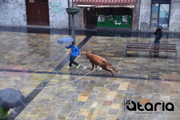 Inauteriak 2018, sokamuturra 28 1518437953977