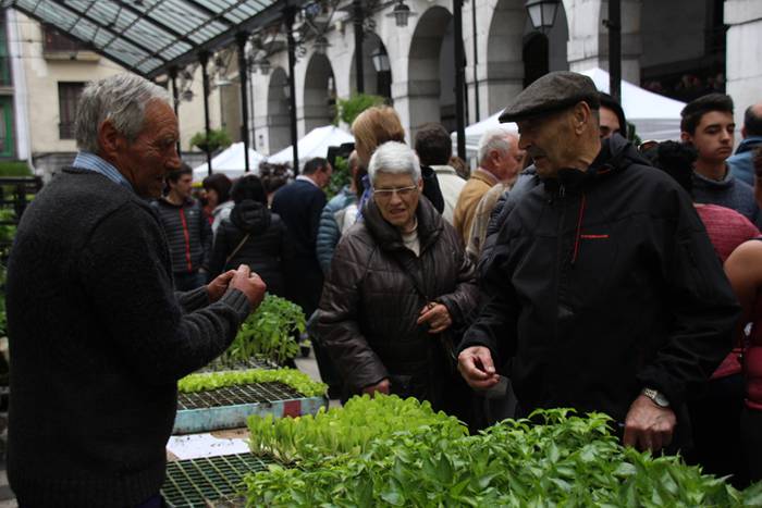 Eta liliek Tolosa ere amets 31 1495290377520