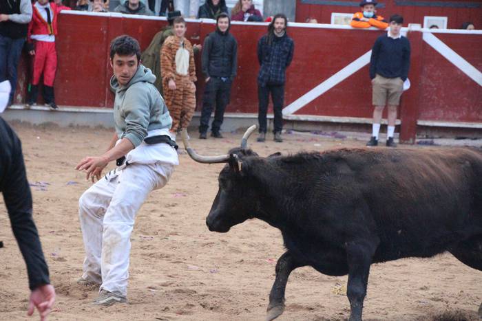 Tolosako Inauteriak 2022 Ast 16 1646130165836