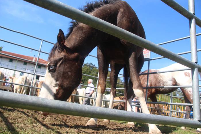 Berezia eta jendetsua 63 1506256805189