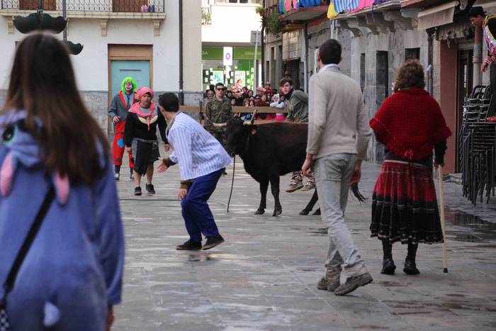 Soka zintzilik eta muturrak  25 1646140696004