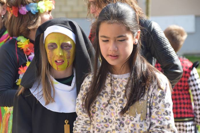 Tripa beteta, festan jarrait 10 1551022484652