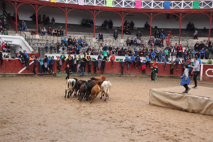 Txaranga eta zezenak piñata  41 1488738965385