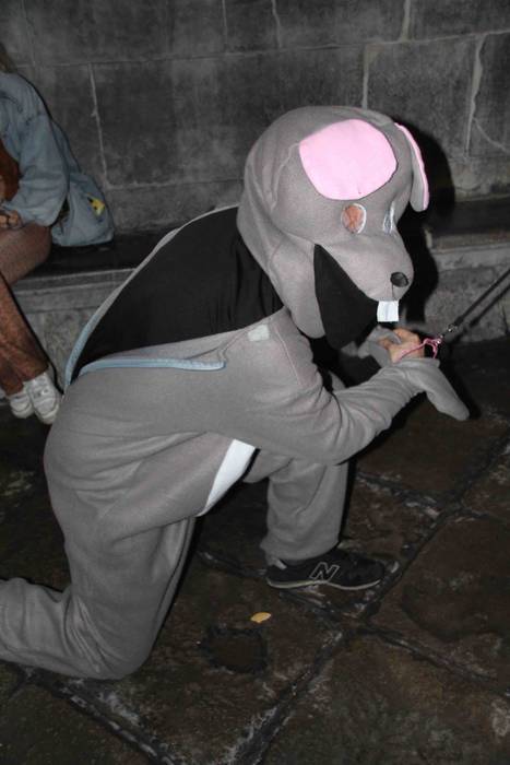 Tolosako Inauteriak 2022 Ast 22 1646122001091