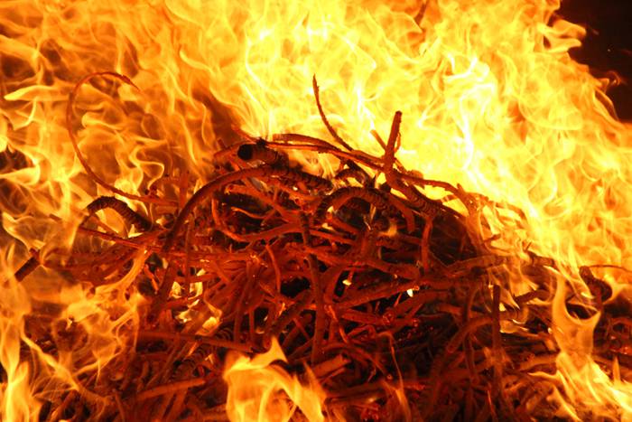 Salto bat, desio bat 69 1498259379897