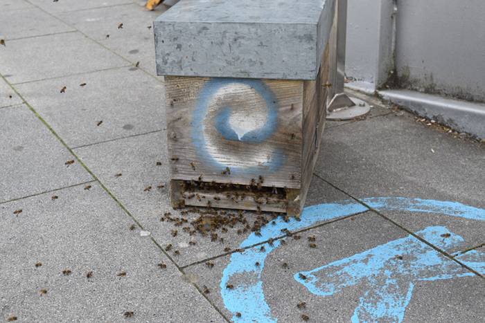 20.000 erle inguru Usabalen 11 1493910716072