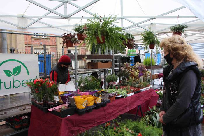 Zuhaitz azoka 2022 12 1645283027425