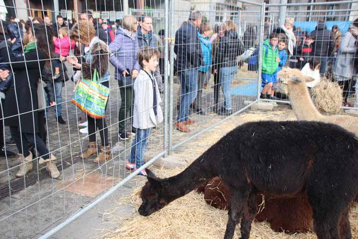 Tolosako Gabonetako azoka be 100 1514054523048