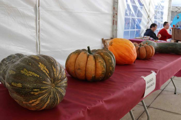 Giro ederra sortu da Asteasu 22 1664106948812