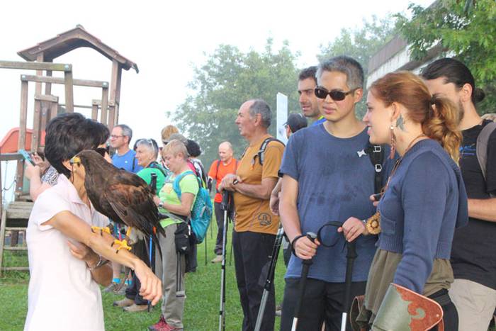 2016 bidea 38 1471776016118