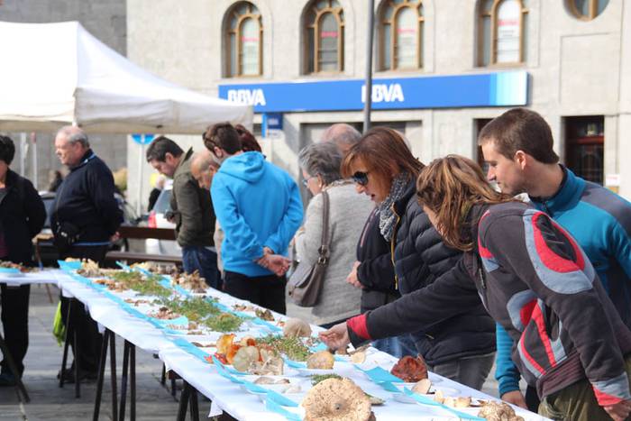 Mikologika 2015 azoka eguna 4 1445082989480