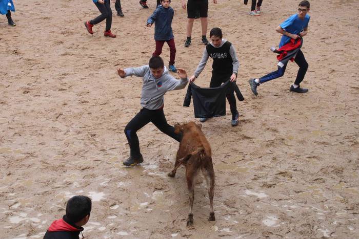 Txikienak zezen txikien aurr 38 1552240897983