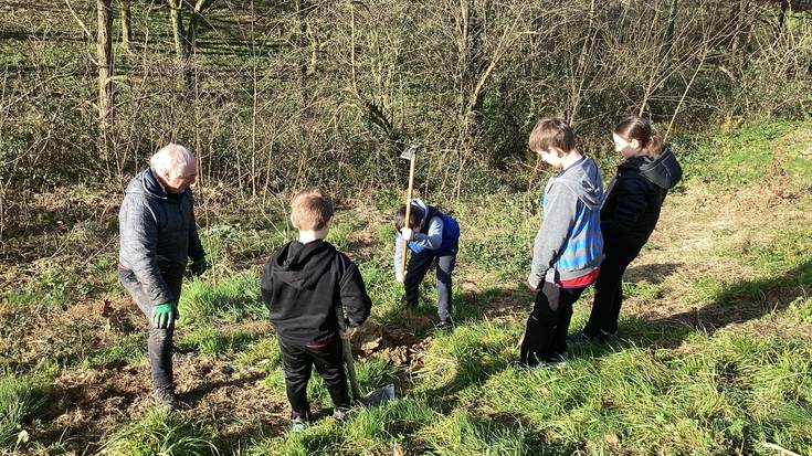 Landarez osatutako hesia Altzon