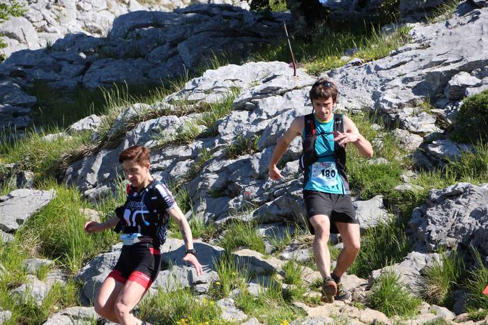 T3T, Hernio 2019 52 1560688428815