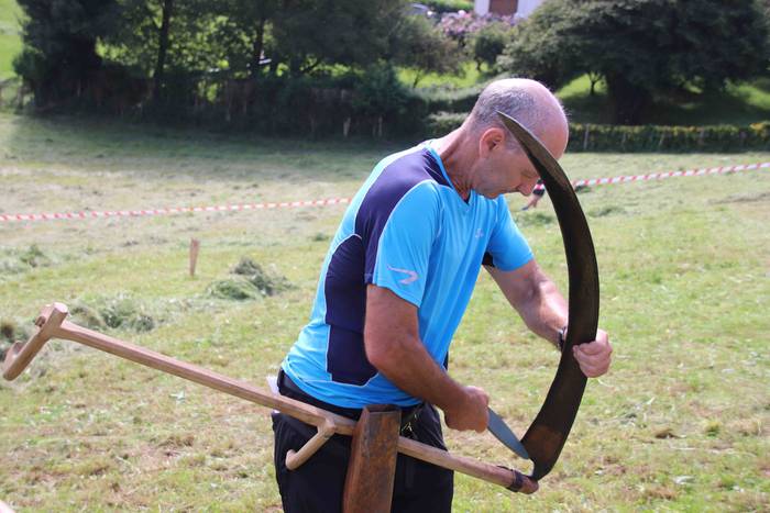 Erabaki dira Euskal Herriko  25 1532870026965