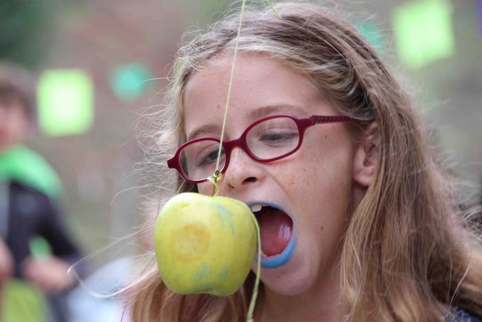 Azku Eguna Ibarra 2018 40 1540039901672