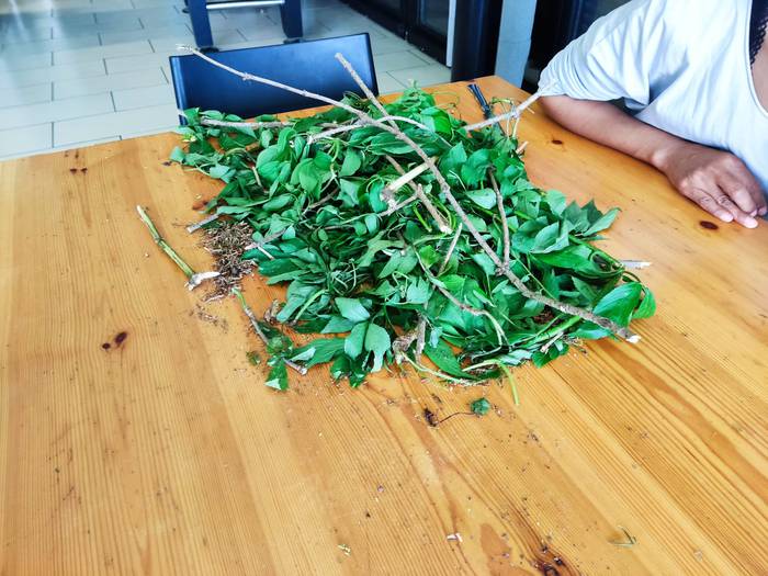 Sendabelar ikastaroa Urkizun 9 1652175193690