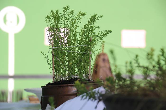 Landaretik ehunera, lihoa 39 1480163074980