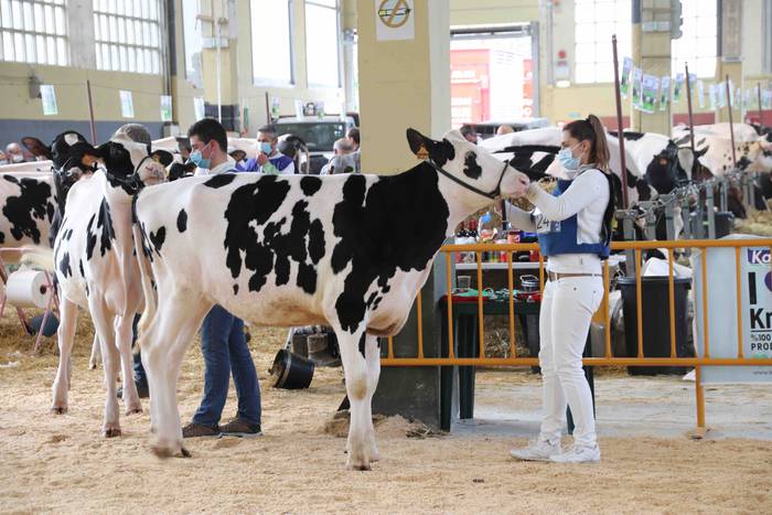 XII. Euskal Herriko Frisoi T 3 1637418663901