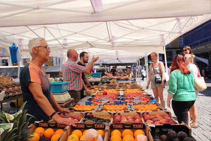 tolosako zokara bisita gidat 21 1657363890269