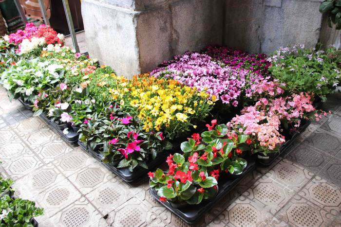 Lore eta Landare Azoka 2019 17 1558171903071