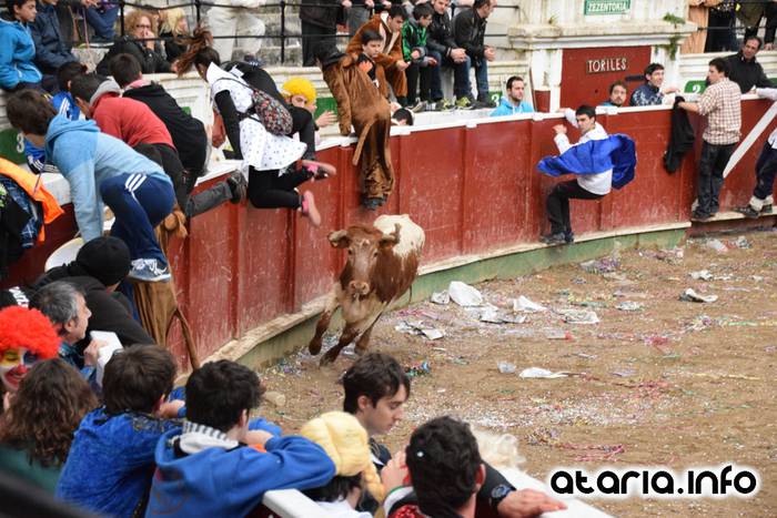 Pattar zezena 2016 28 1455012391936