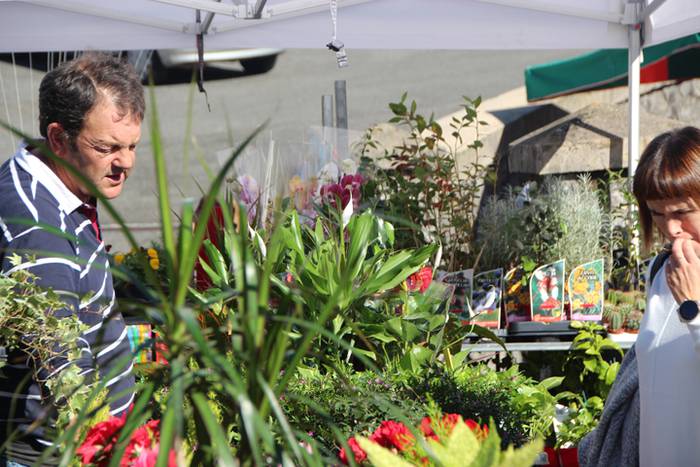 Animali, barazki eta artisau lanen bilgune 10 1477830707154