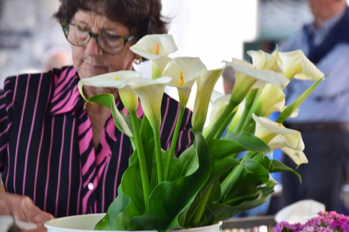 Lore eta Landare azoka Tolos 28 1652529030251