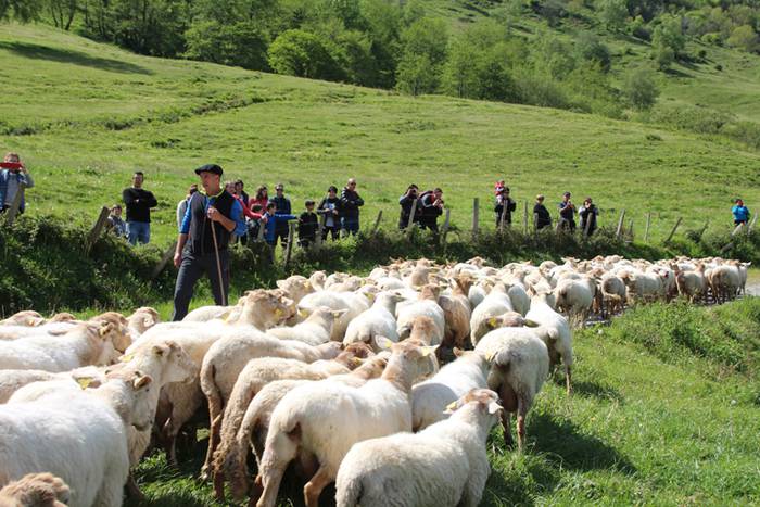 Larre irekiera Larraitzen 20 97 1493640255811