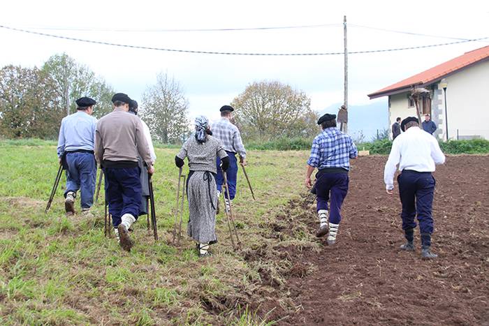 ADUNAKO KULTUR ASTEA 2017. G 46 1511018113064