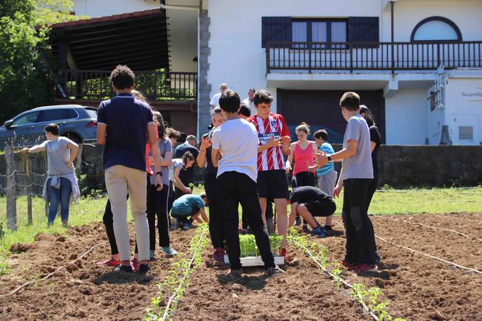 Erein dituzte lehen piperrak 15 1559303466895