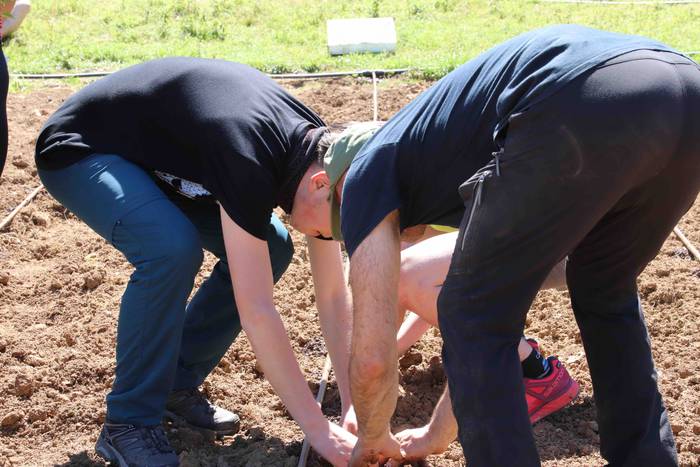 Erein dituzte lehen piperrak 28 1559303476955