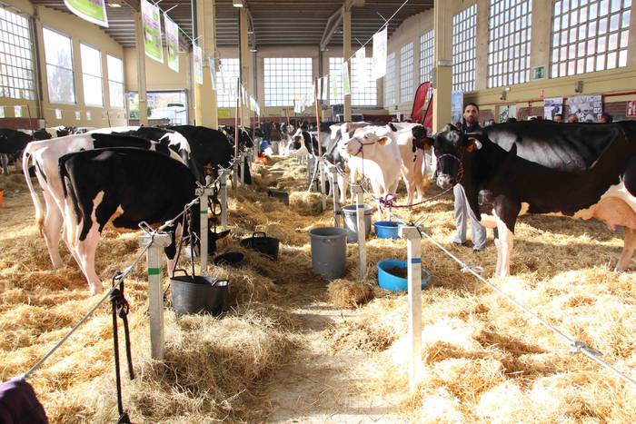 X. Euskal Herriko Frisoi Txa 7 1542479398634